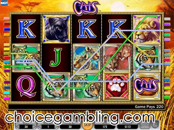 Cats Slot Machine