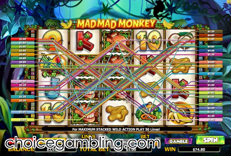 Mad Mad Monkey Slot Mad Mad Monkey Slot