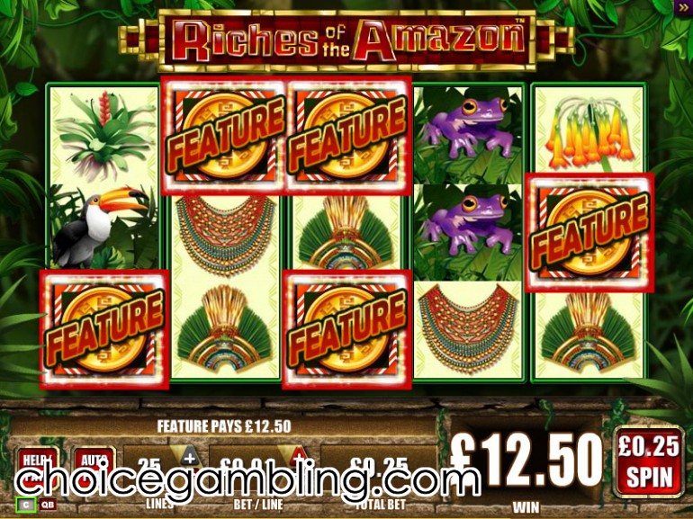 Rain forest slots