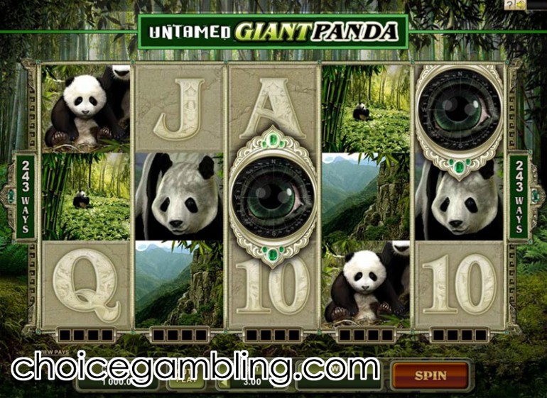 Giant panda slot machine